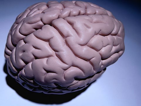 "Atlas de células cerebrales humanas" brinda nuevas perspectivas sobre la salud y las  enfermedades cerebrales