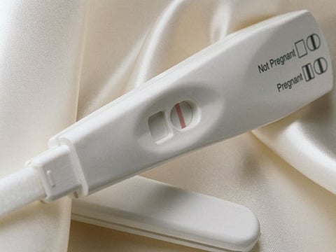 pregnancy test
