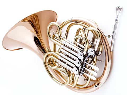 french horn