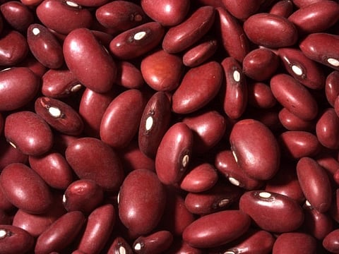 kidney beans