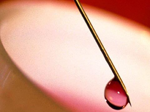 needle with a drop at the end