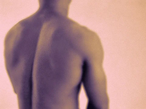 human spine