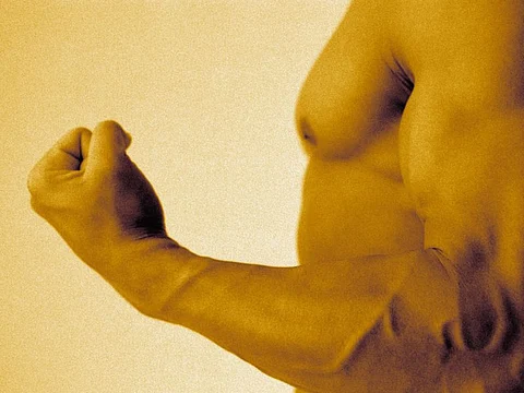 man\'s muscles