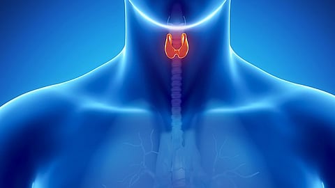 Thyrotoxicosis Linked to Risk for Incident Cognitive Disorder