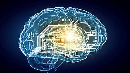 Hippocampal Atrophy Linked to Cognitive Decline in Older Adults