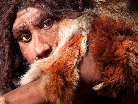 Quizá deba darle las gracias a los neandertales por su nariz