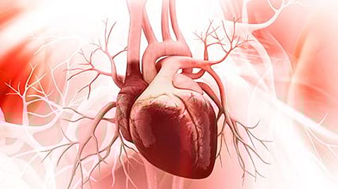 healthier heart