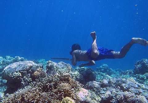 diver