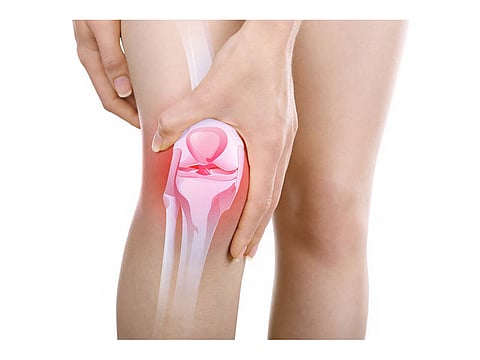knee anatomy