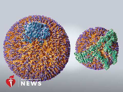 Researchers Suggest New Way to Possibly Eliminate Artery-Clogging Condition