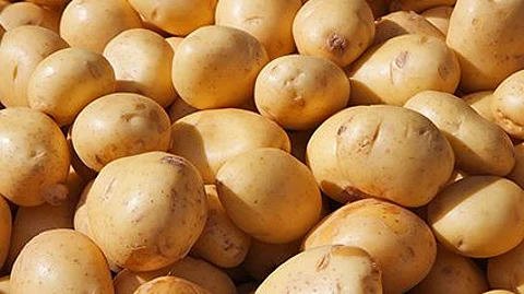 Humans Started Loving Carbs a Very Long Time Ago