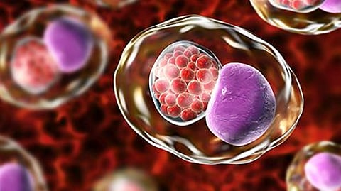 FDA Approves First At-Home Test for Chlamydia, Gonorrhea