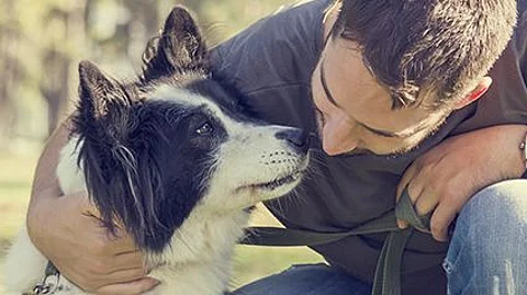 You're Not Imagining It: Dogs Do Get Jealous
