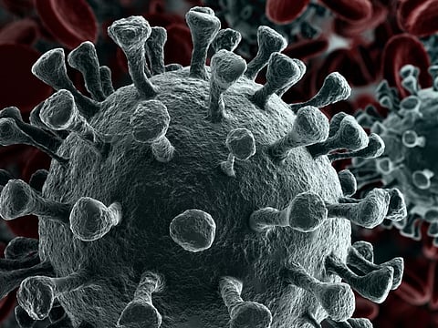 coronavirus