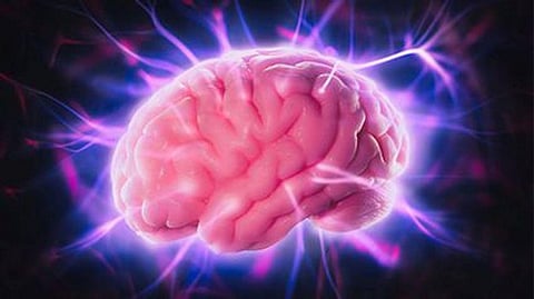 Scientists Produce First 3D-Printed Brain Tissue for Use in Research