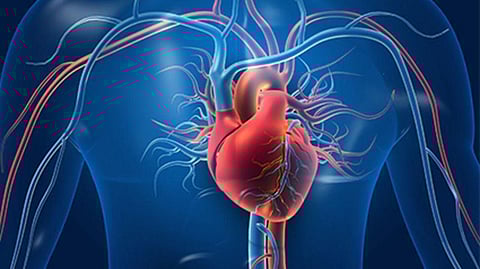 Abiomed Heart Pumps Linked to 49 Deaths