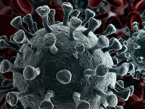 coronavirus