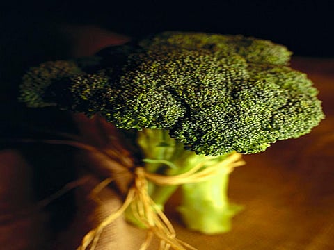 broccoli