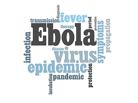 ebola virus