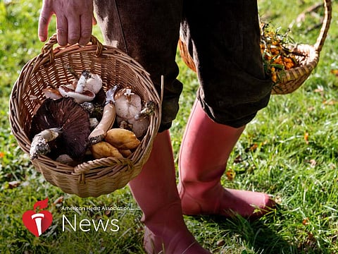 AHA News: La actividad de forrajear nos conecta con la naturaleza, pero investigue bien antes de comer lo que encuentre