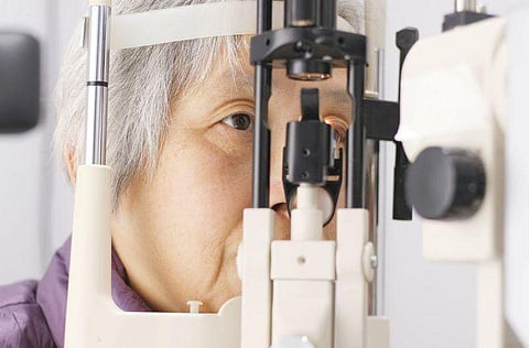 eye vision senior