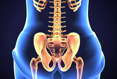 hip pelvis bone