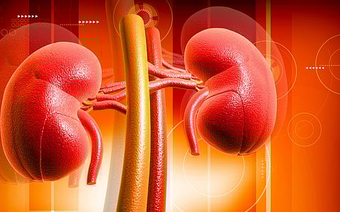 New Instrument Developed for Assessing Patient Knowledge of CKD