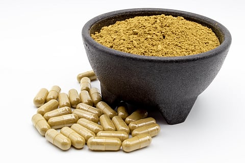 Kratom powder in bowl with capsules along side