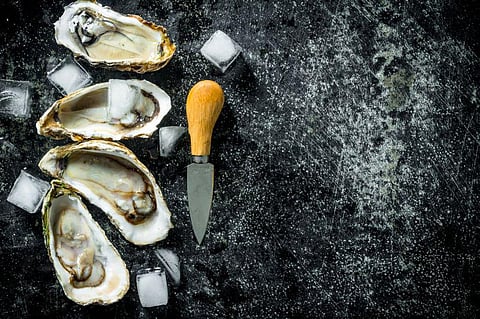oysters