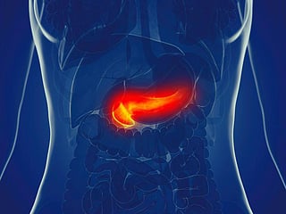 pancreas