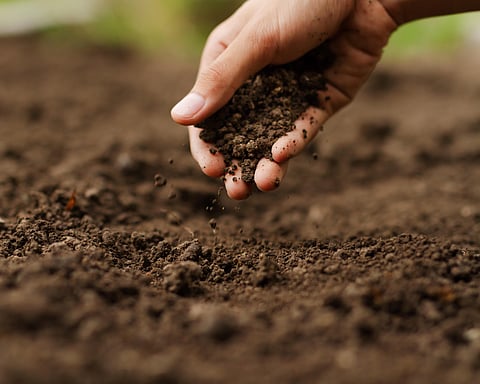 soil