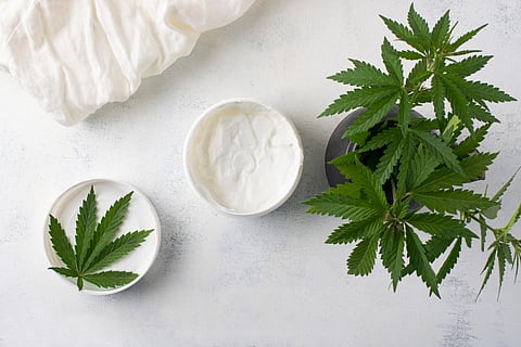 CBD cream