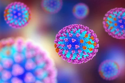 flu virus