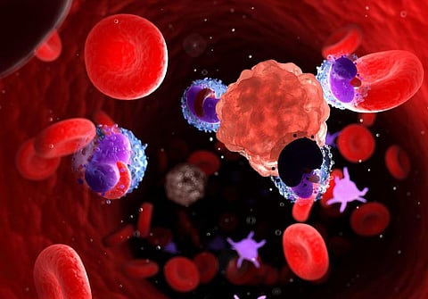 FDA Warns of Rare Secondary Cancer Risk With CAR-T Therapies