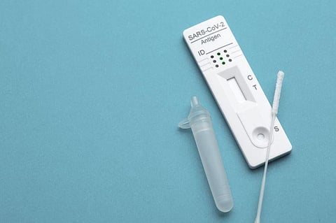 covid test swab