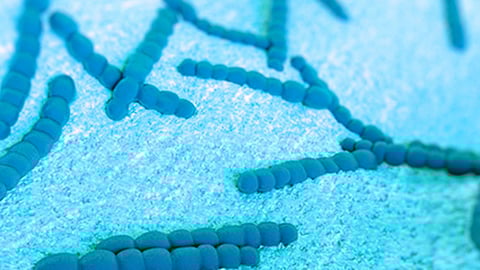 The CDC Is Investigating a Rise in Severe Strep A Infections in Kids