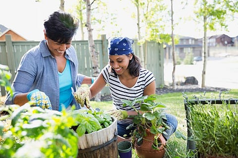 gardening
