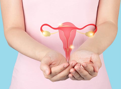 Leisure Sedentary Time Linked to Prevalence of Uterine Fibroids