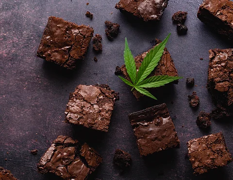 pot brownie marijuana