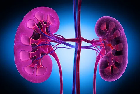 No Improvement Noted in Black-White Kidney Transplant Rate Ratios