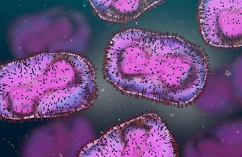 CDC Advisers Say High-Risk Men Should Still Get Mpox Vaccine