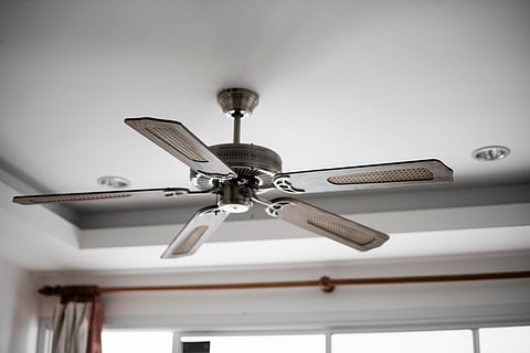 fan
