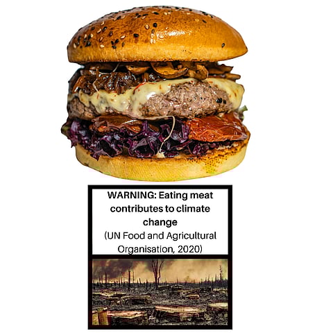 Does Meat Need Warning Labels on How It Harms Climate, Health?