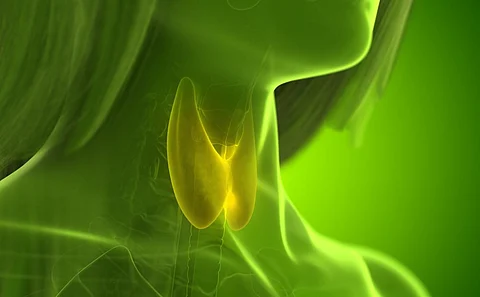 Total Thyroidectomy Offers Lasting Benefit for Hashimoto Disease