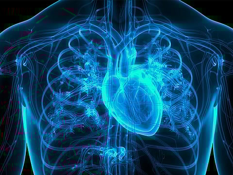 heart atrial
