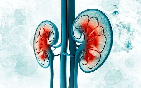 Pembrolizumab Shows Survival Benefit for Patients With Renal Cancer