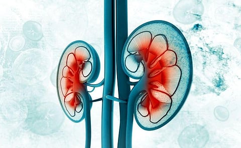 eGFRcr-cys Levels More Strongly Linked to Adverse Outcomes in Seniors