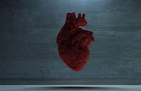 Heart Disease Still the Leading Cause of Death in the United States
