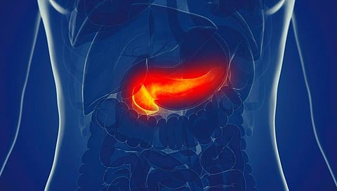 Higher Pancreatic Fat Percentage Linked to Lower Cognition in Men