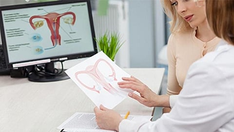 14.6 Percent of U.S. Women Had Received Hysterectomy in 2021